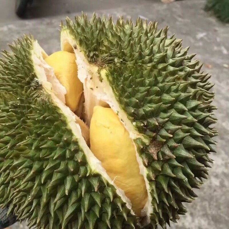 【坏果包赔】泰国甲仑榴莲2个装更划算生切带壳新鲜榴莲