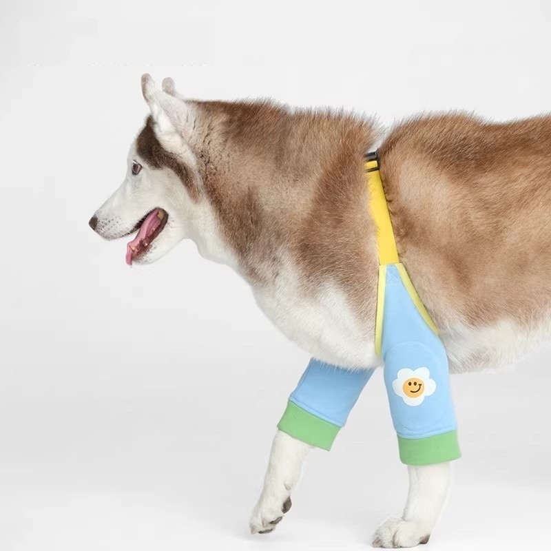 大型犬护肘衣关节保护套大型犬护膝宠物衣服边牧金毛冬款防脏神器,宠物/宠物食品及用品,狗宠物服装/雨衣,淘宝优惠券,粉丝福利购,淘宝优惠卷