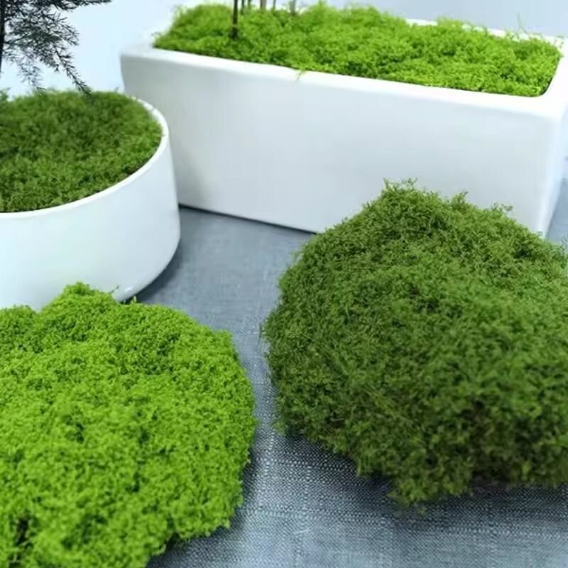 仿真苔藓草皮假青苔微景观假山石头摆件草坪园艺盆景铺面绿化造景