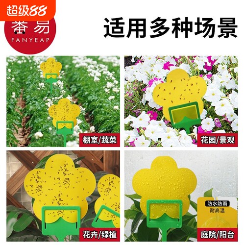 粘虫板B1pf0-小黄板双面小飞虫诱虫沾虫纸果蝇诱捕器蚊子蓟马蔬菜