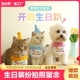 扮饰品 宠物狗狗猫咪生日围嘴兜帽子口水巾泰迪柴犬拍照可爱道具装