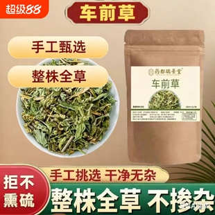 车前草泡水喝的功效与作用野生干货新鲜正品官方旗舰店