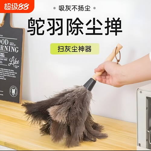 鸵鸟毛除尘掸家用清洁