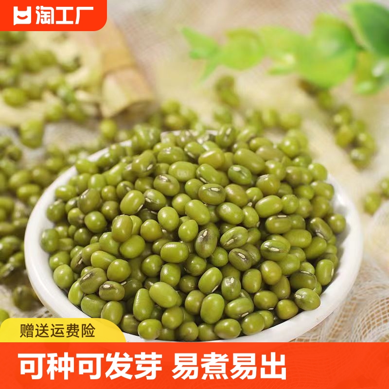 农家绿豆可种可发芽绿豆沙绿豆糕饼粥...