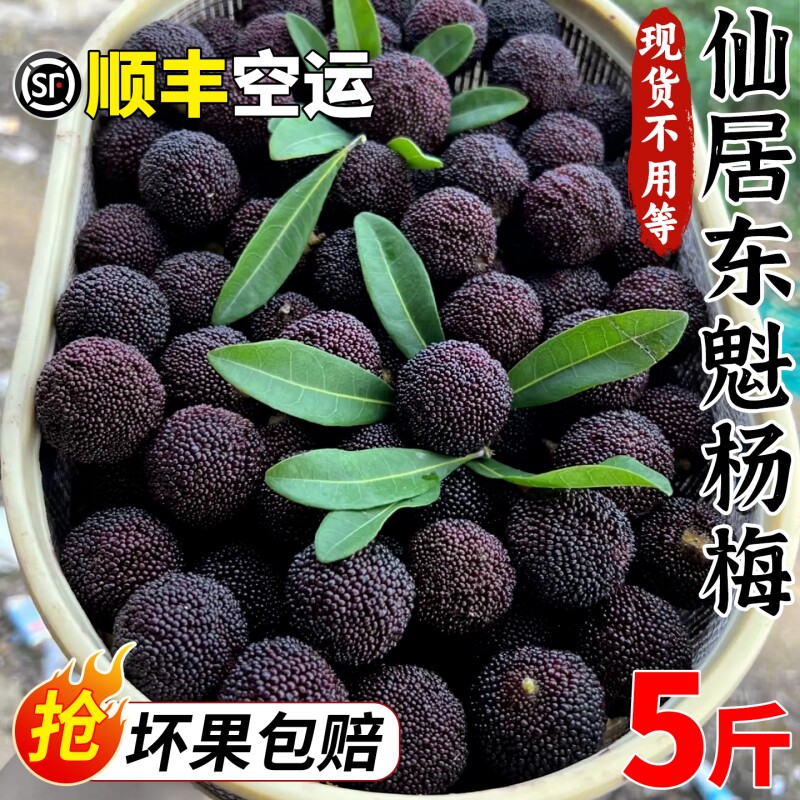 【顺丰空运】现货仙居东魁杨梅新鲜现摘现发老树大果杨梅孕妇水果 - 实物图