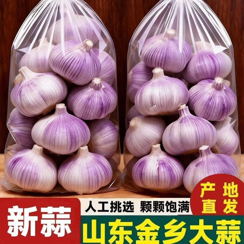 蒜头2026年金乡大蒜新干蒜农家特大紫皮山东今年新鲜新蒜批发包邮
