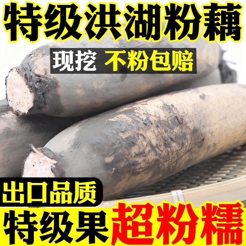 正宗湖北洪湖莲藕新鲜煲汤藕面藕红莲藕煲汤粉糯米藕火锅食材配菜