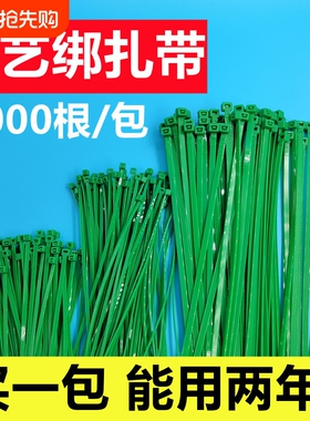 1000根/包用一年绿色园艺扎带一拉得园林捆绑固定塑料绑带绑扎