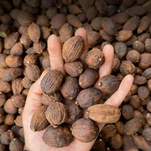 精选过筛草果大头个 产地香料大料卤肉炖肉家用年货调味 包邮