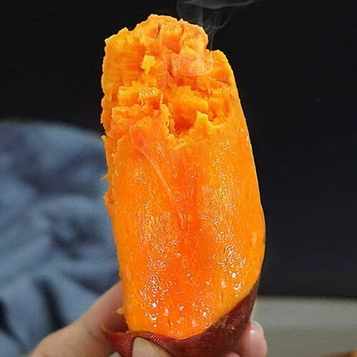 红薯正宗西瓜红蜜薯糖心