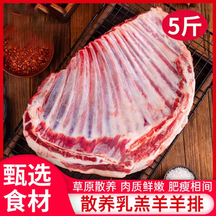 羊排新鲜羊肉5斤乳羔羊排手抓羊肉烧烤手把羊肉生鲜年货礼盒