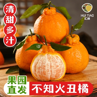 正宗四川不知火丑橘柑橘新鲜水果时令现摘当季 整箱9斤耙耙丑橘子