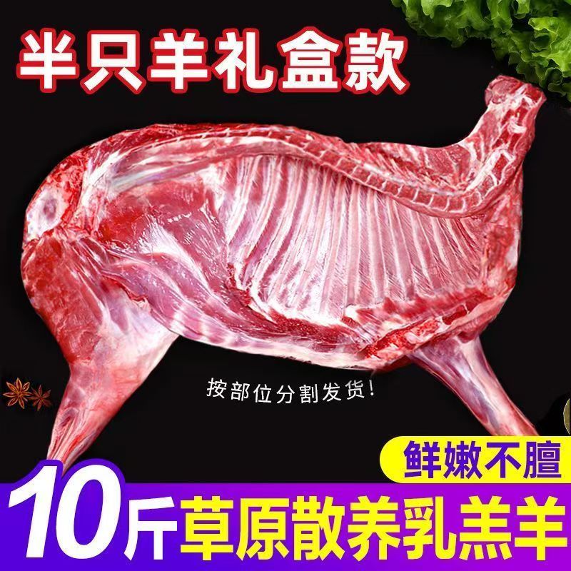 羊肉新鲜现杀内蒙古半只羊羊后腿羔羊肋排冷冻羊蝎子年货礼盒