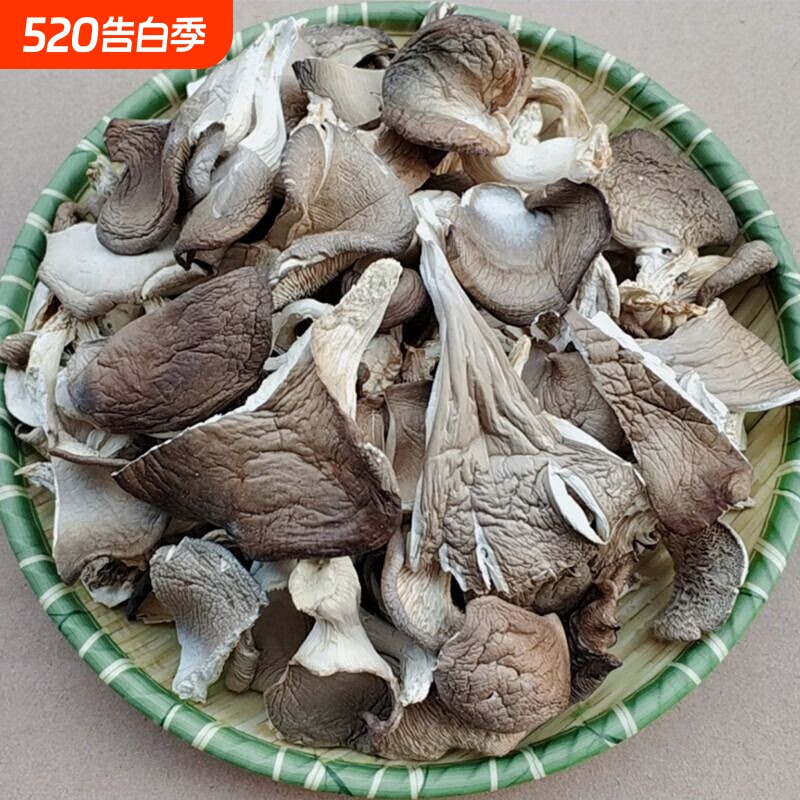 平菇干货250g干平菇新鲜凤尾菇干白平菇食用营养菌菇类磨菇非香菇