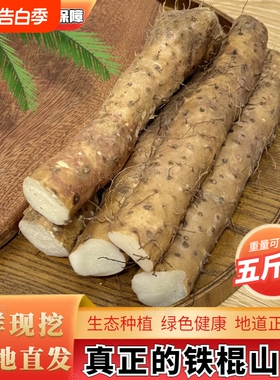 正宗铁棍山药整箱小白嘴新鲜蔬菜焦作垆土现挖农家自种绿色原产地