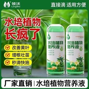 水培植物营养液通用型绿萝富贵竹转运竹碗莲铜钱草发财树专用肥料