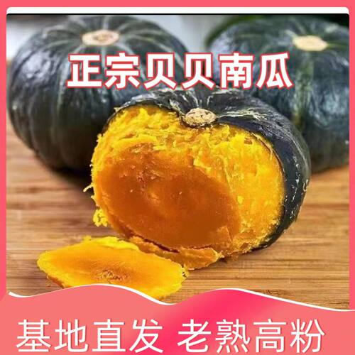 正宗贝贝南瓜板栗农家自种当季贝贝小南瓜新鲜老瓜粉糯甜辅食香甜