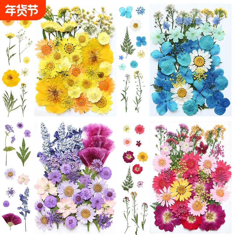 干花diy材料包永生花压花片草手工滴胶书签真花植物树叶标本押花