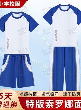 东莞大朗小学生公立统一校服套装