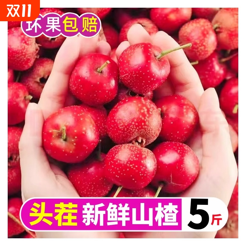 【特惠】新鲜山楂特大果当季新鲜水果金大星冰糖葫芦专用红果