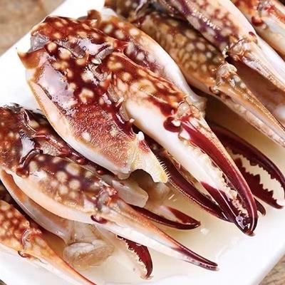 新鲜梭子蟹蟹钳钳子蟹脚螃蟹腿涝汁小海鲜冷冻商用批发水产生鲜