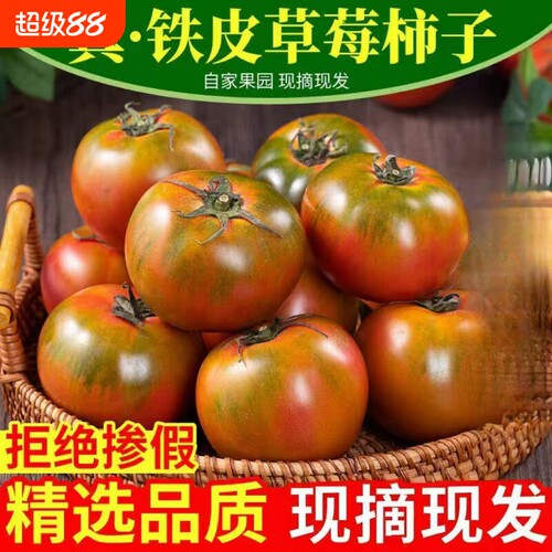 顺丰铁皮柿子丹东自然草莓西红柿水果酸甜自家种生吃现摘包邮整箱