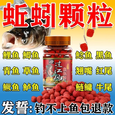 鲫鱼鲤鱼草鱼鳊鱼专用蚯蚓垂钓饵