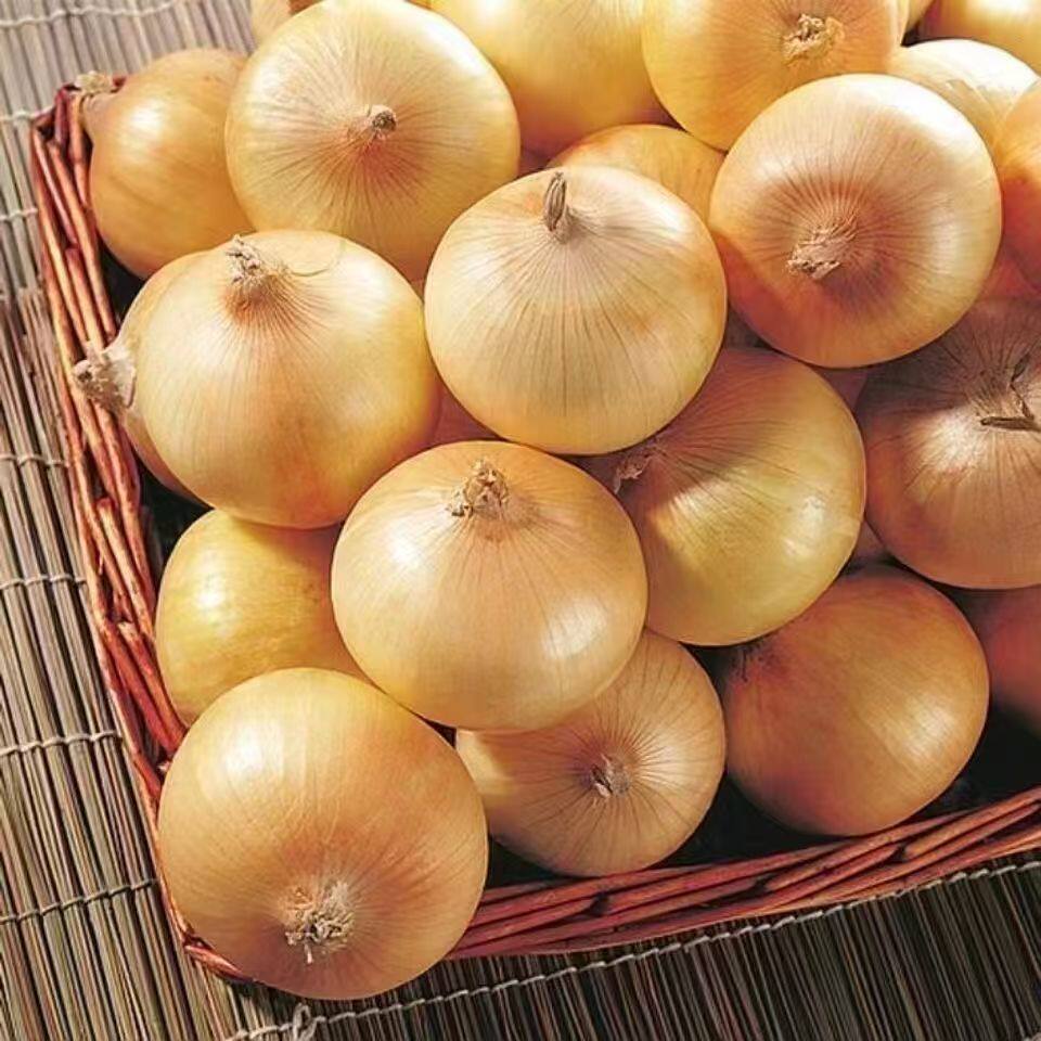 芭芭农场兑换黄皮洋葱5斤装单果150g新鲜精选保存种植食用脆甜