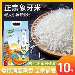 一级新米超长粒香米大米象牙丝苗米长粒香农家米煲仔饭象牙米米饭