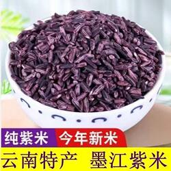 云南墨江紫米新米精选花青素米粗粮米胚芽米养生米米软糯香甜