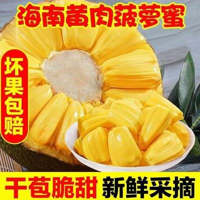 海南黄肉干苞菠萝蜜一整个新鲜孕妇水果老树波罗蜜