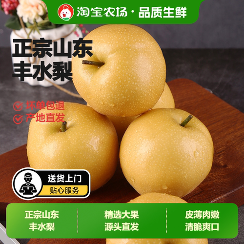 山东丰水梨正宗新鲜现摘直发皮薄多汁当季鲜水果精选农场大果源头