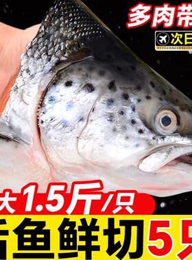 挪威三文鱼头新鲜冷冻超大深海鱼头三文鱼边角料人吃烧烤煲汤海鲜
