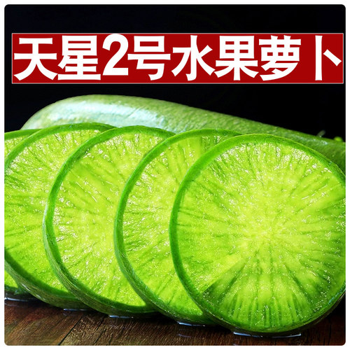 新鲜天星2号水果萝卜产地直发