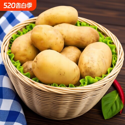 贵州威宁2026年新鲜土豆土特产