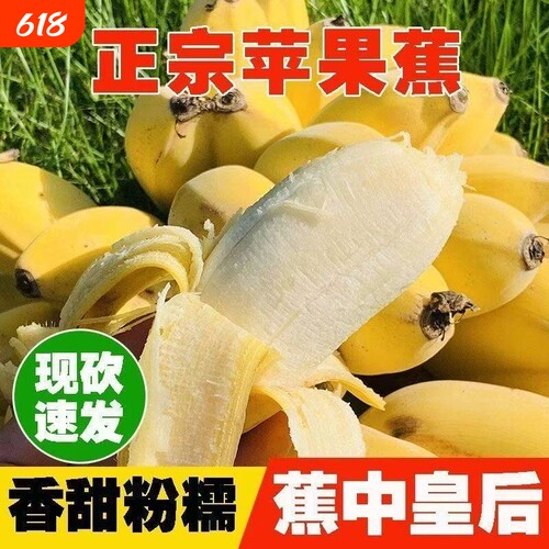 正宗苹果蕉香蕉新鲜水果5斤苹果粉蕉自然熟当季整箱小米芭蕉香焦