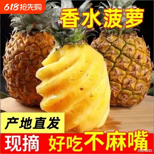 正宗中山神湾菠萝送刀包邮当季现摘胜泰国小菠萝海南香水凤梨