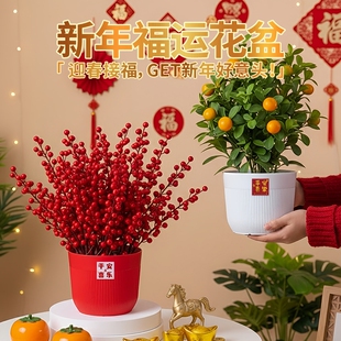 新年喜庆装饰年宵花盆特大号带托盘平安喜乐条纹盆2026年春节爆款