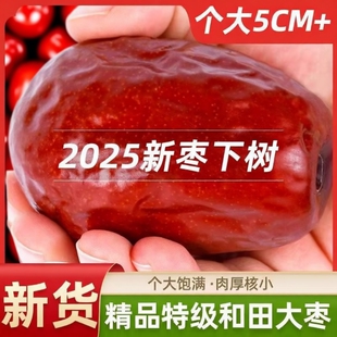 新疆大红枣和田大枣红枣特级特产官方旗舰店若羌灰枣孕妇枣子新货