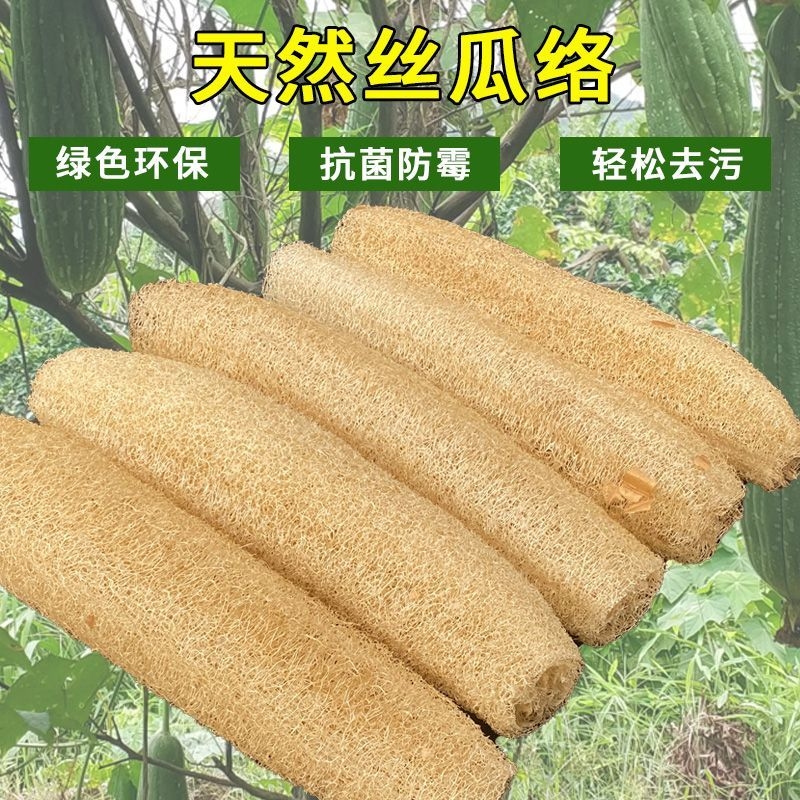 纯天然丝瓜络洗碗抹布水瓜锅刷去污不沾油百洁布洗碗神器干丝瓜瓤