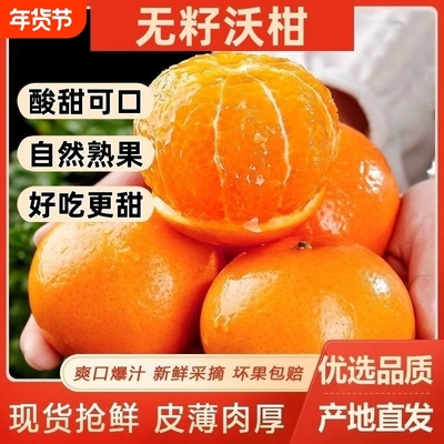 广西武鸣沃柑091无籽无核柑