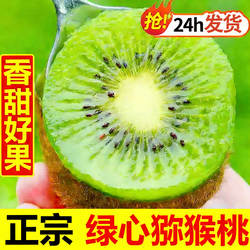 西峡绿心猕猴桃孕妇应季水果新鲜当季大果奇异果包邮整箱批发