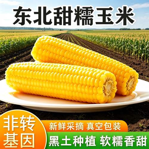 黄甜糯玉米真空包装鲜食玉米代餐粗粮新鲜真空加热即食东北新香甜