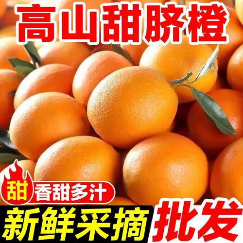 宜昌纽荷尔脐橙新鲜水果当季整箱包邮