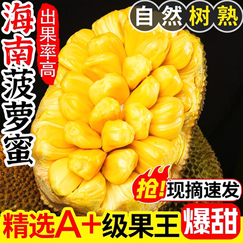 海南菠萝蜜一整个当季新鲜水果黄肉波罗蜜整箱包邮香蕉木菠萝热带