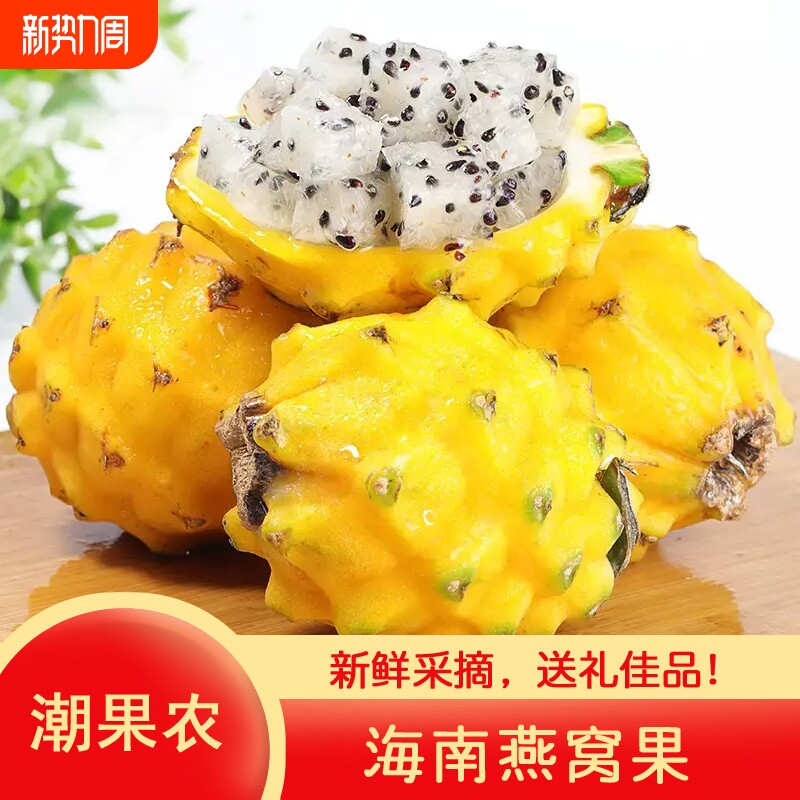 5斤装燕窝果麒麟果当季新鲜水果黄皮白心火龙果热带黄金果水果
