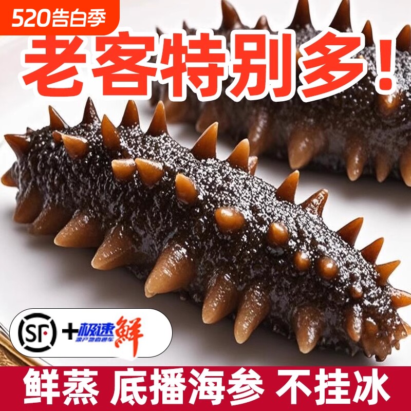 海参大连即食1斤2斤克冷冻海刺参500g水产滋补食物底播年货