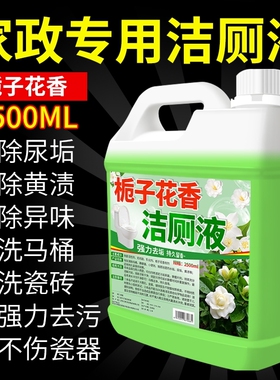 洁厕灵强力除垢除臭清香型液马桶清洁剂厕所神强力去污去黄渍留香