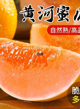 正宗甘肃民勤蜜瓜脆甜哈密瓜