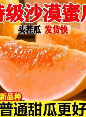 26年民勤头茬蜜瓜甜瓜沙漠香瓜新鲜应季水果批发黄河蜜瓜多仓现摘